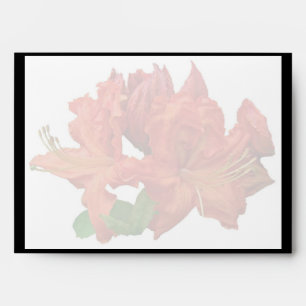Orange Azalea Blossoms Envelope