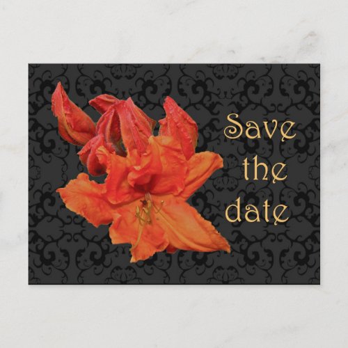 Orange Azalea Blossoms Invitation Postcard