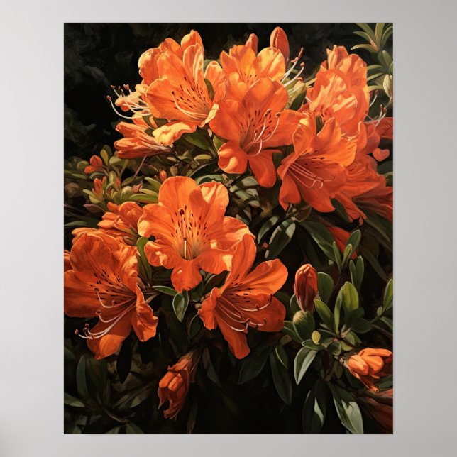 Orange Azalea Flowers Art Print Poster (Front)