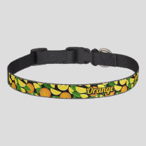 Orange Background Pet Collar