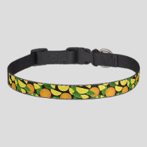 Orange Background Pet Collar