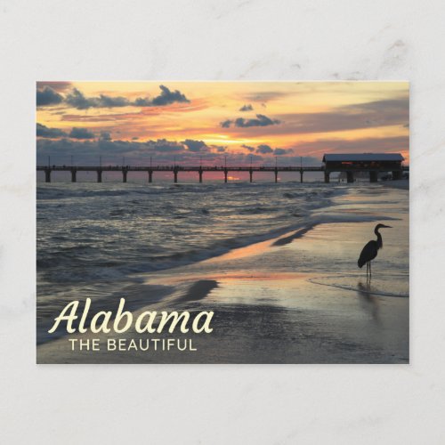 Orange Beach Alabama Gulf Coast Postcard
