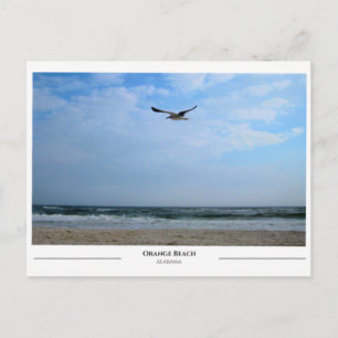 Orange Beach Alabama Postcard
