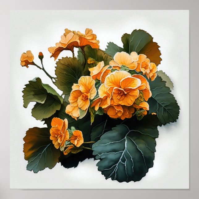 Orange Begonias Flower Art Print Poster (Front)