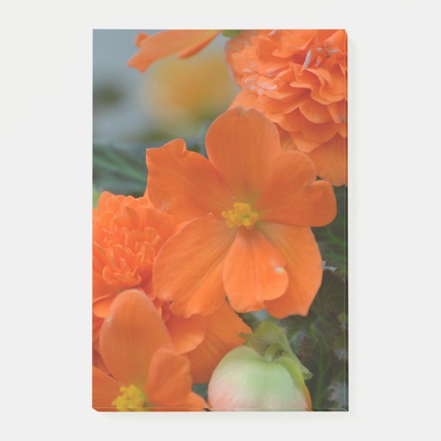Orange Begonias Post-it Notes (Front)