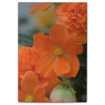 Orange Begonias Post-it Notes