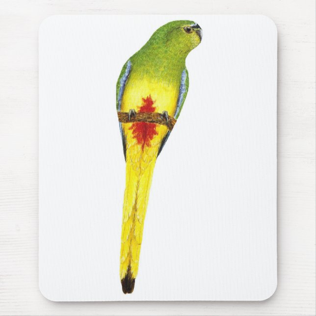 Orange-bellied Parrot - Neophema chrysogaster Mouse Pad (Front)