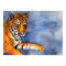 Orange Bengal Tiger Poster Watercolor Art Print