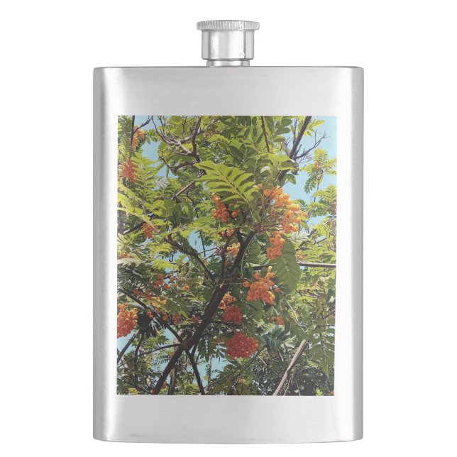 Orange berries flask (Front)