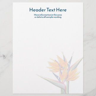 Orange Bird of Paradise Blank Writing Paper