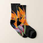 Orange Bird of Paradise Flowers Socks