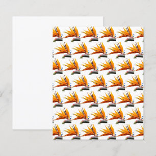 Orange Bird of Paradise Pattern on White Paper