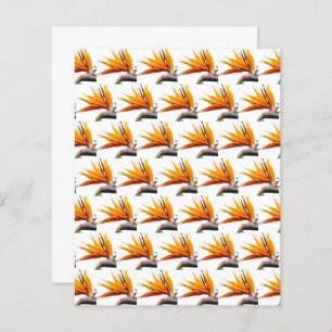 Orange Bird of Paradise Pattern Scrapbook Paper