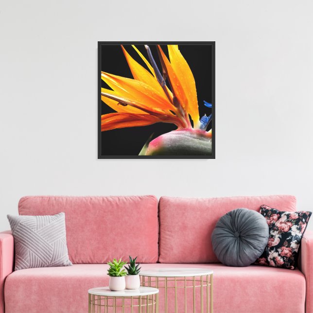 Orange Bird of Paradise Plant Bloom Floral Canvas Print (Insitu(LivingRoom))