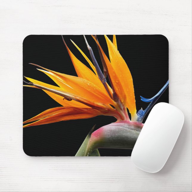 Orange Bird of Paradise Plant Bloom Floral Mouse Pad (With Mouse)