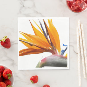 Orange Bird of Paradise Plant on White Floral Napkins