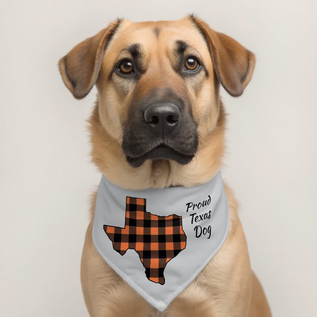 Orange Black Buffalo Plaid Texas Dog Pet Bandana Collar (Dog 2)