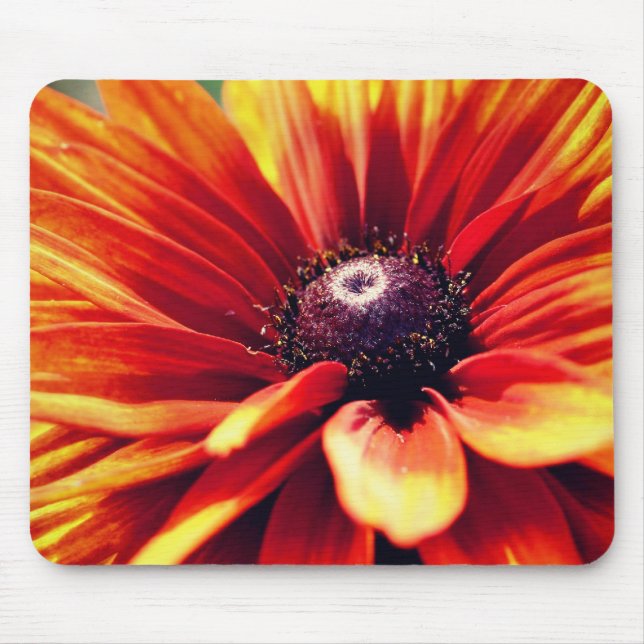 Orange Black Eyed Susan Daisy Flower  Mouse Pad (Front)
