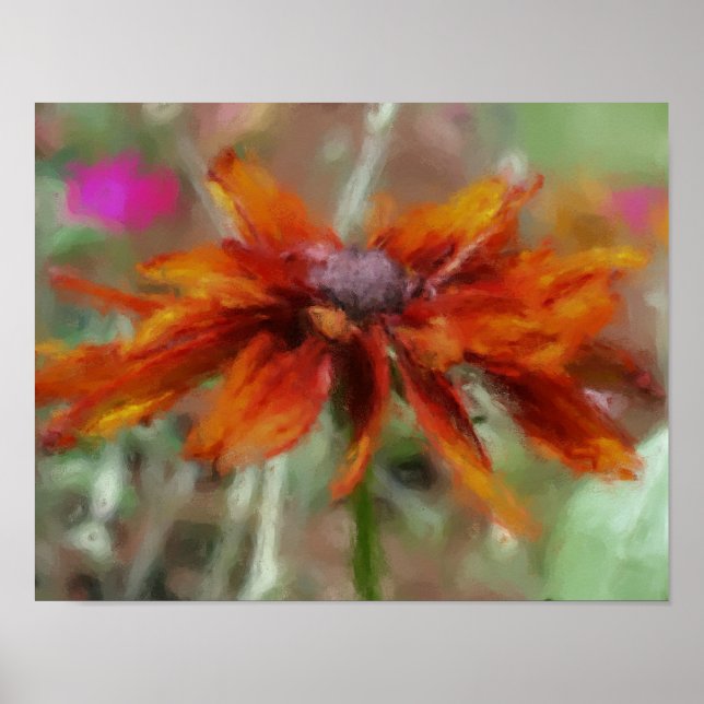 Orange Black Eyed Susan Flower Art Poster (Front)