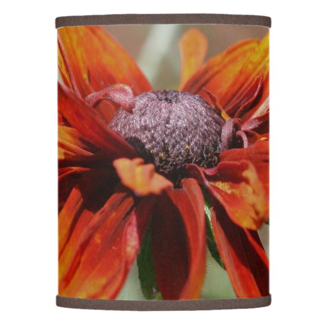 Orange Black Eyed Susan Flower Close Up  Lamp Shade (Front)