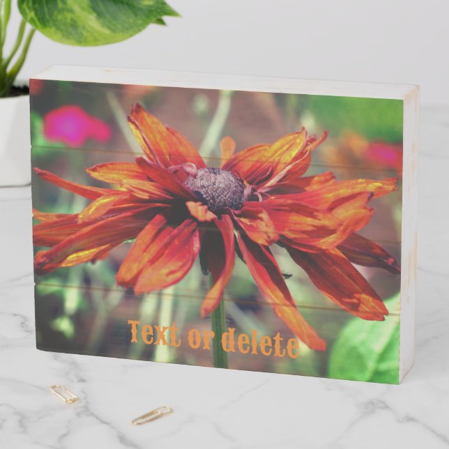 Orange Black Eyed Susan Flower Personalized Wooden Box Sign (In Situ Horizontal)