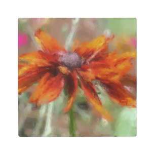 Orange Black Eyed Susan Metal Print