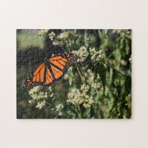 Orange Black Monarch Butterfly Nature Photography Jigsaw Puzzle