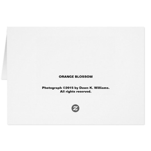 Orange Blossom (Back Horizontal)