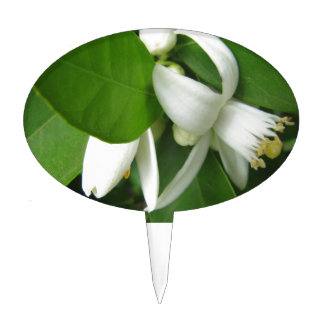 Orange Blossom Cake Topper