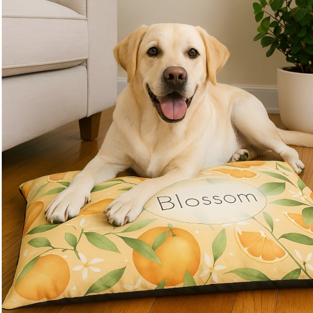 Orange blossom citrus pattern  pet bed (Creator Uploaded)