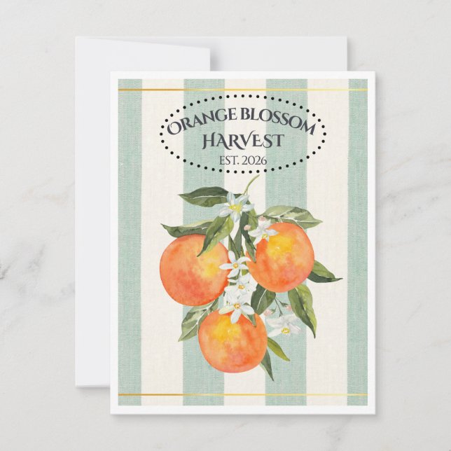  Orange Blossom - Mediterranean Citrus Label Note Card (Front)