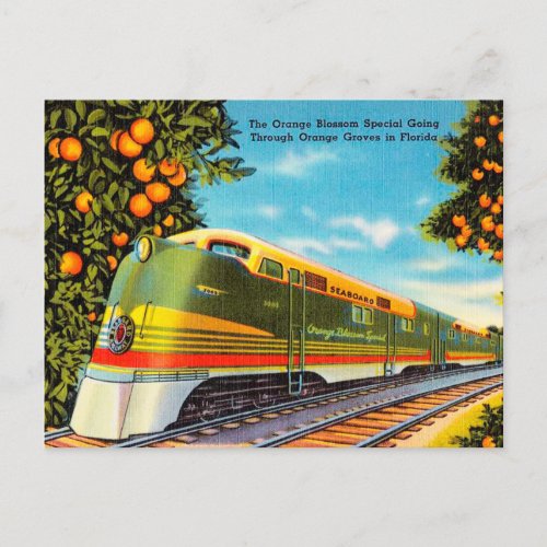 Orange Blossom Special Orange Groves in Floride Postcard