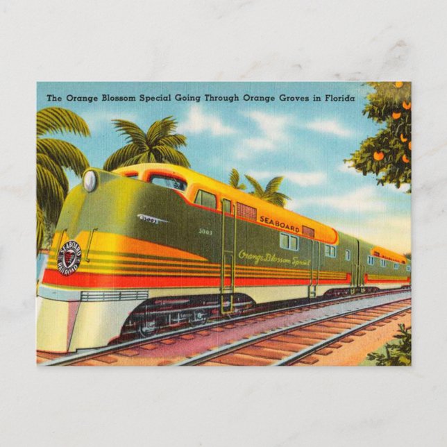 Orange Blossom Special Orange Groves in Floride Postcard (Front)