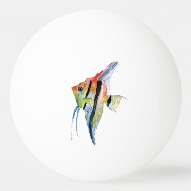 Orange Blue Fish One Star Ping Pong Ball (Front)