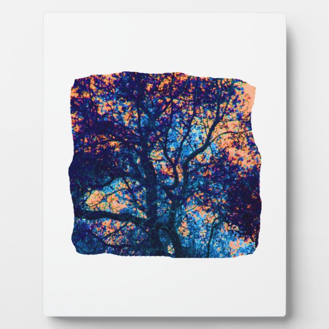 Orange Blue Oak Tree Abstract Branch Plaque (Front)