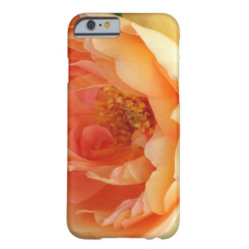 Orange Blush Rose Barely There iPhone 6 Case