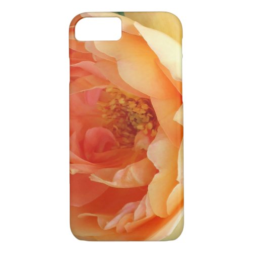 Orange Blush Rose iPhone 87 Case