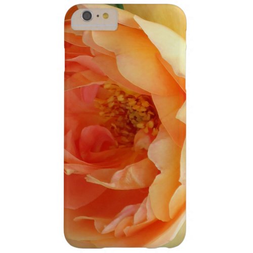 Orange Blush Rose Barely There iPhone 6 Plus Case