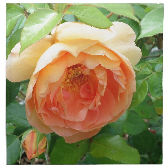 Orange Blush Rose Cloth Napkin (Front)