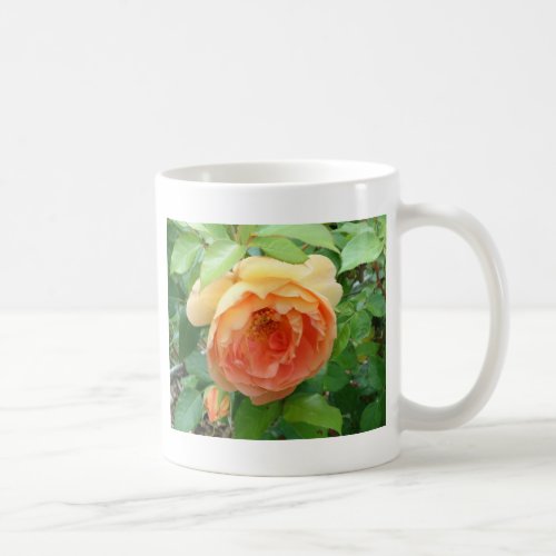 Orange Blush Rose Coffee Mug