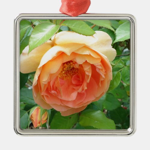 Orange Blush Rose Metal Ornament