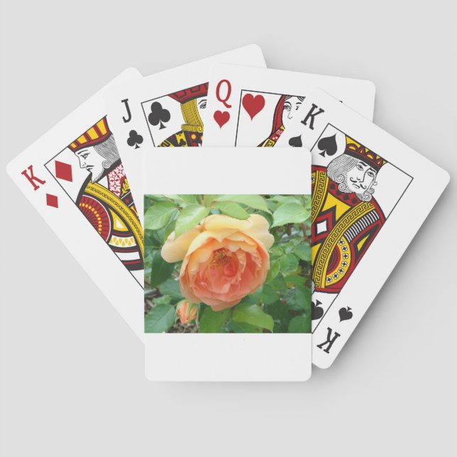 Orange Blush Rose Poker Cards (Back)
