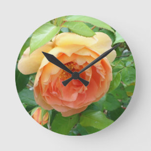 Orange Blush Rose Round Clock