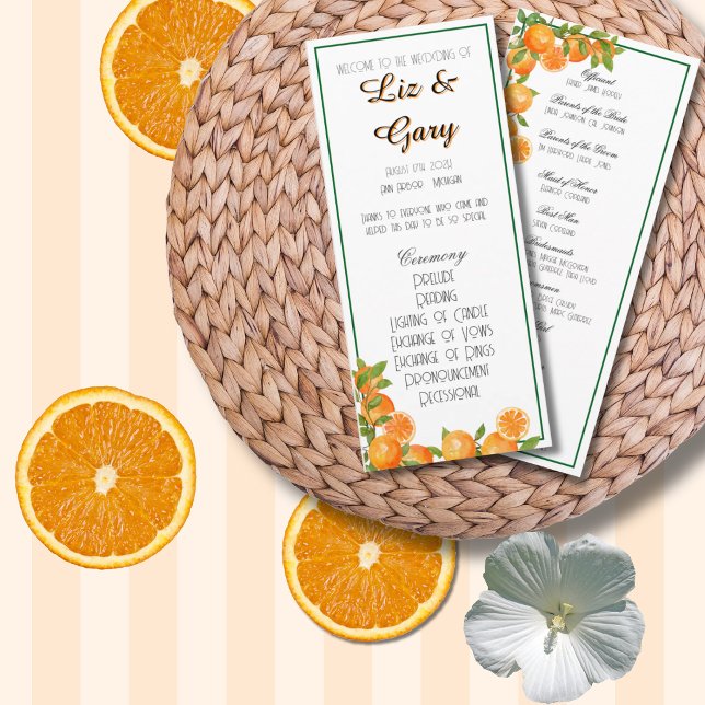 Orange Botanical Elegant Minimalist Program (Creator Uploaded)