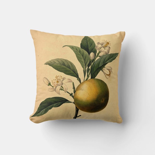 Orange Botanical Illustration Throw Pillow (Front)