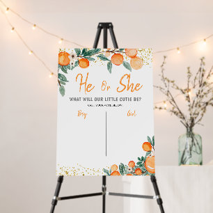 Orange Boy or Girl Voting Board Gender Reveal