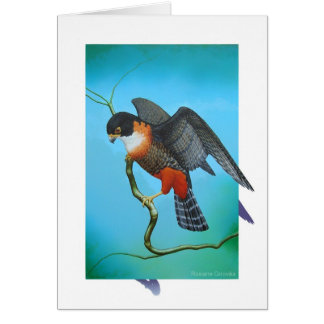 Orange-breasted Falcon Cards