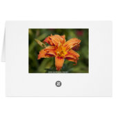 Orange brilliance cards (Back Horizontal)