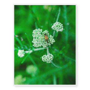 Orange bug on a white flower temporary tattoos