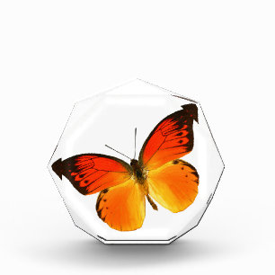 Orange Butterfly Acrylic Octagon Award